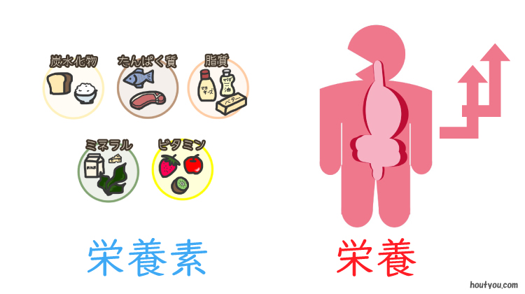 栄養素と栄養の違いイメージイラスト。栄養素は五大栄養素の食材、栄養は人体の図。